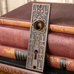 #38717 - Mallory&nbsp;Wheeler&nbsp;Co.&nbsp;Fleur-de-lis&nbsp;Backplate&nbsp;image