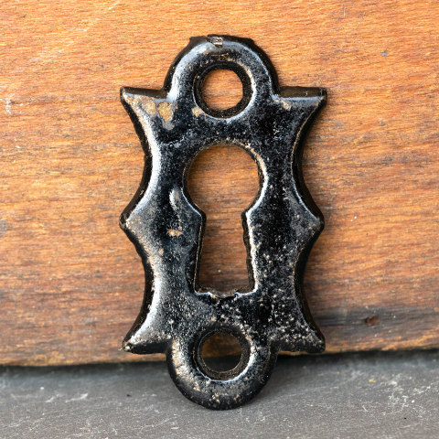 #27211 Antique Skeleton Keyhole Cover Plate image 3