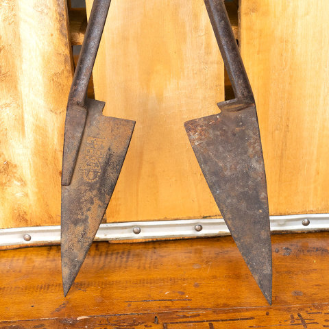 #27373 Antique Sheep Shears image 2