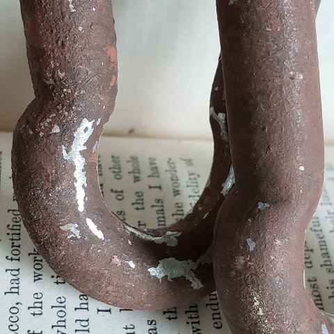 #34058 Heavy Duty Carabiner Snap Link image 5