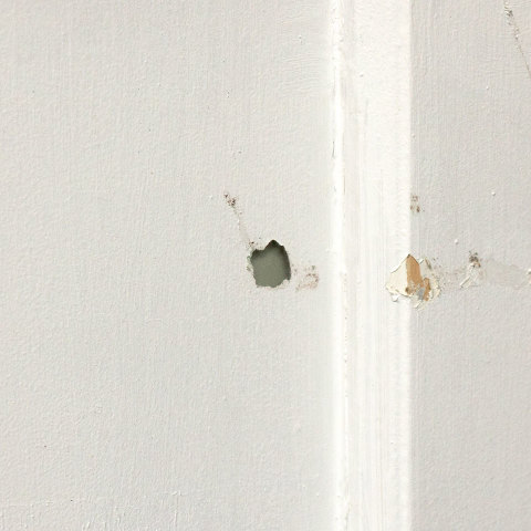 #38358 30x83 Salvaged 21 Lite French Door image 4