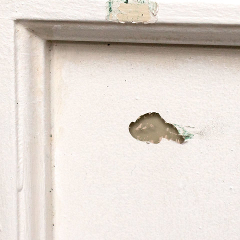 #38359 30x83 Salvaged 21 Lite French Door image 7