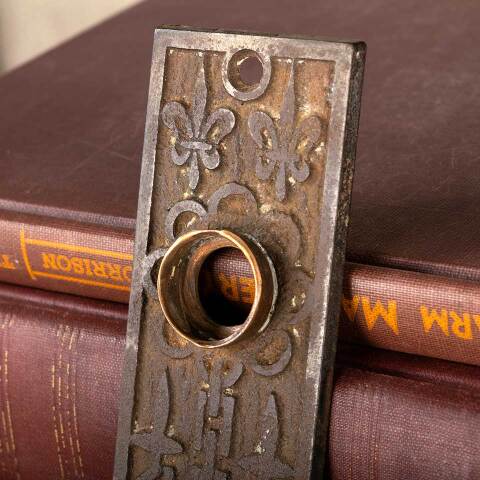 #38717 Mallory Wheeler Co. Fleur-de-lis Backplate image 4