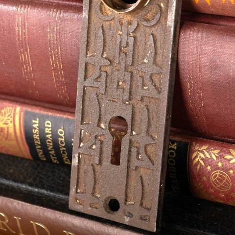 #38717 Mallory Wheeler Co. Fleur-de-lis Backplate image 5