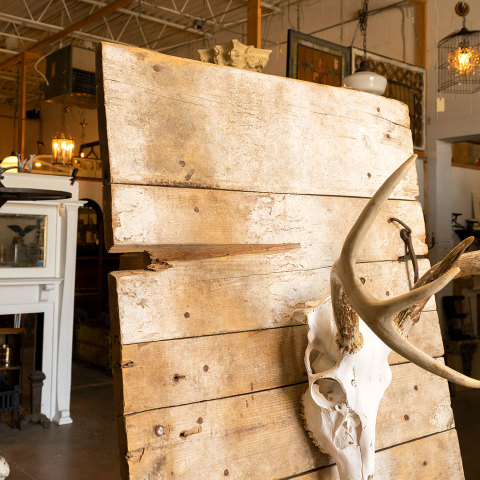 #39781 Deer Skull Mounted on Primitive Wood Door image 4