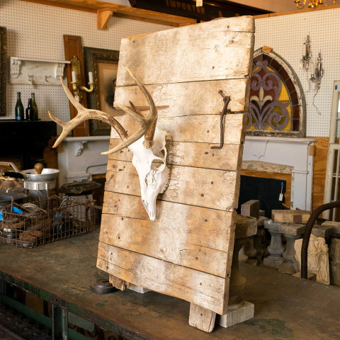 #39781 Deer Skull Mounted on Primitive Wood Door image 2