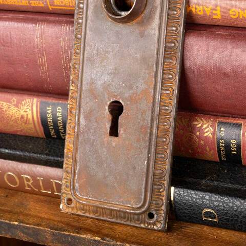 #45333 Antique Egg & Dart Doorknob Backplate image 5