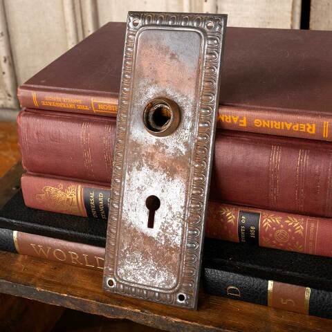 #45334 Antique Egg & Dart Doorknob Backplate image 3