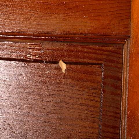 #47526 24x72 Antique 5 Panel Pine Interior Door image 7