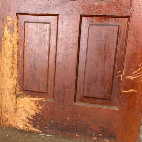 #50359 32x80 Antique 4 Panel Pine Interior Door image 7