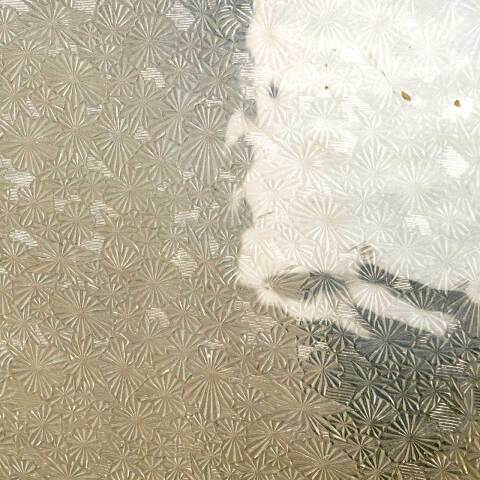 #50927 41x45 Window with Florentine Privacy Glass image 8