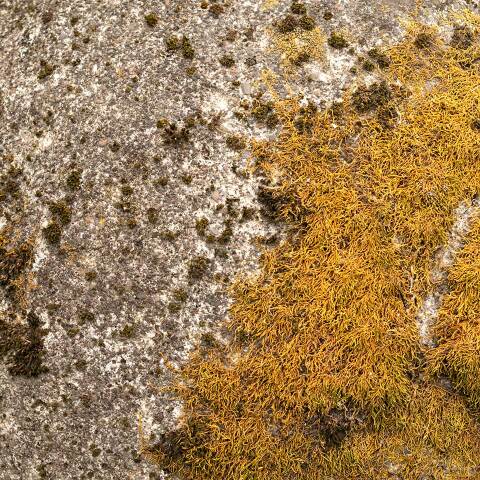 #51371 Concrete Sphere Garden Landscape Ornament image 2