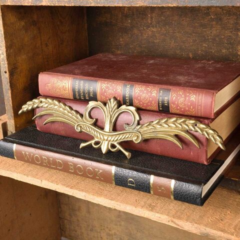 Antique Cast Brass Furniture Appliqué