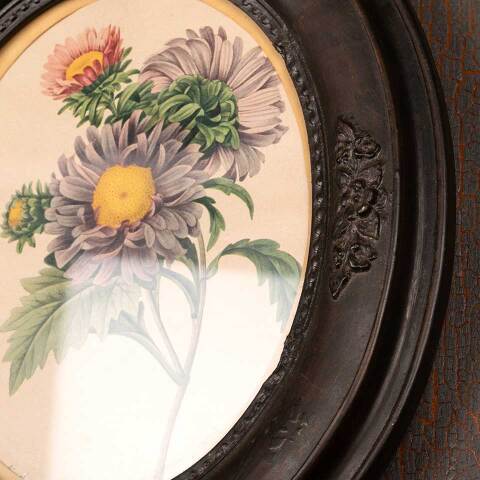 #53394 Antique Botanical Print in Oval Frame image 4