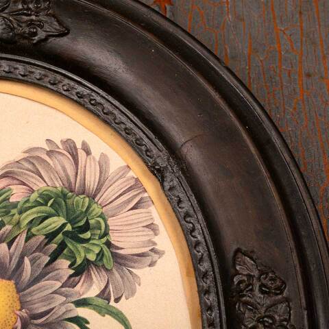 #53394 Antique Botanical Print in Oval Frame image 6