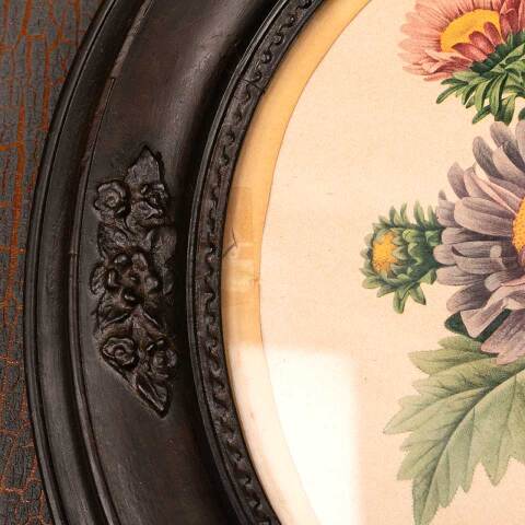 #53394 Antique Botanical Print in Oval Frame image 7