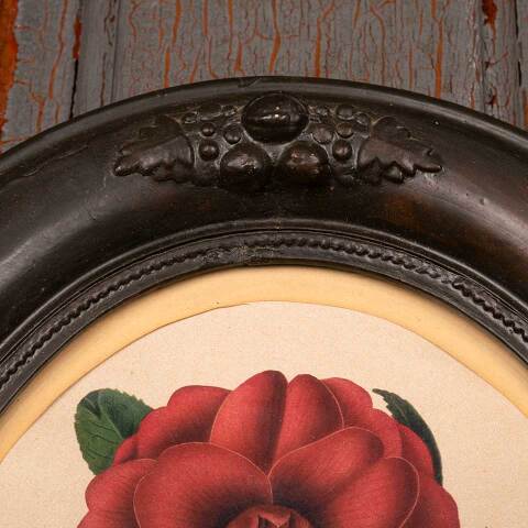 #53395 Antique Botanical Print in Oval Frame image 6