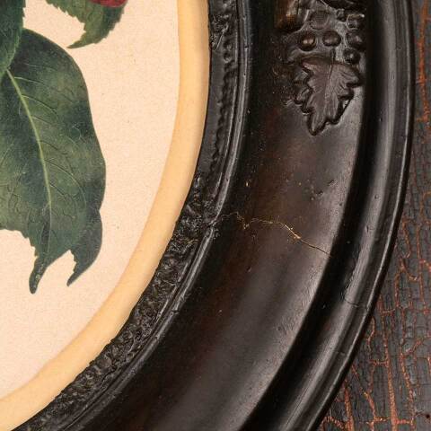 #53395 Antique Botanical Print in Oval Frame image 7