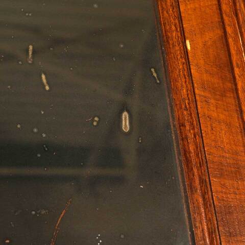 #53560 19x27 Antique Wood Framed Wall Mirror image 5