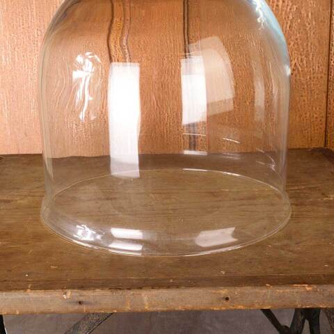 #54399 10x12 Glass Cloche Dome w/ Top Handhold image 3