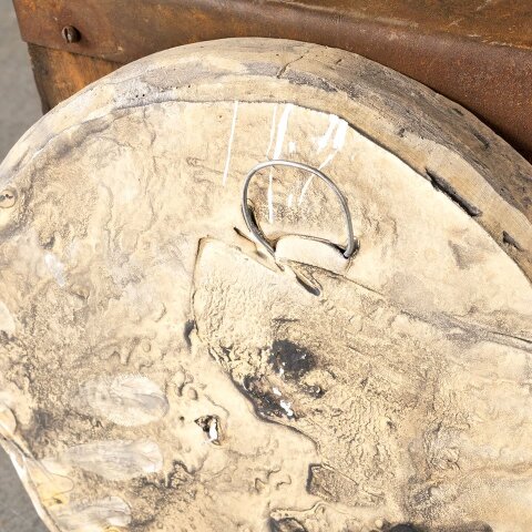 #55319 Cast Plaster Rosette Rose Medallion image 5